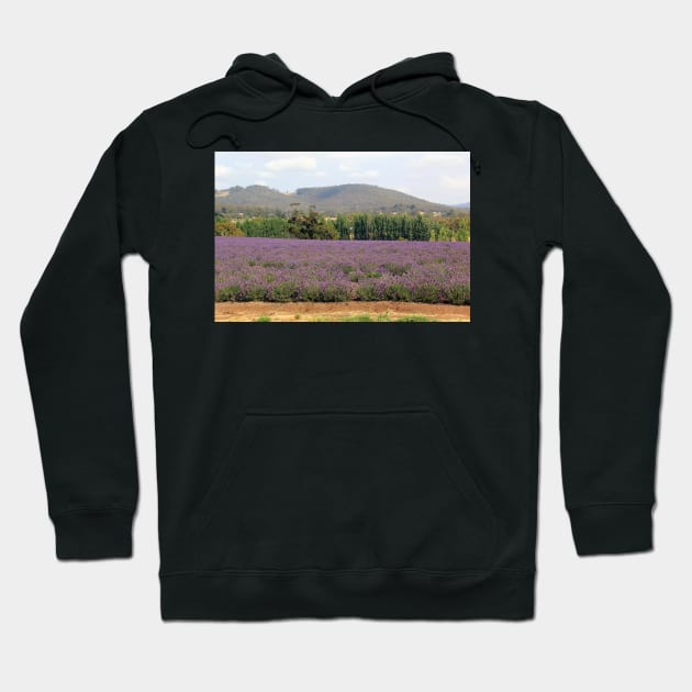 Lavender fields Hoodie by Kirkcov